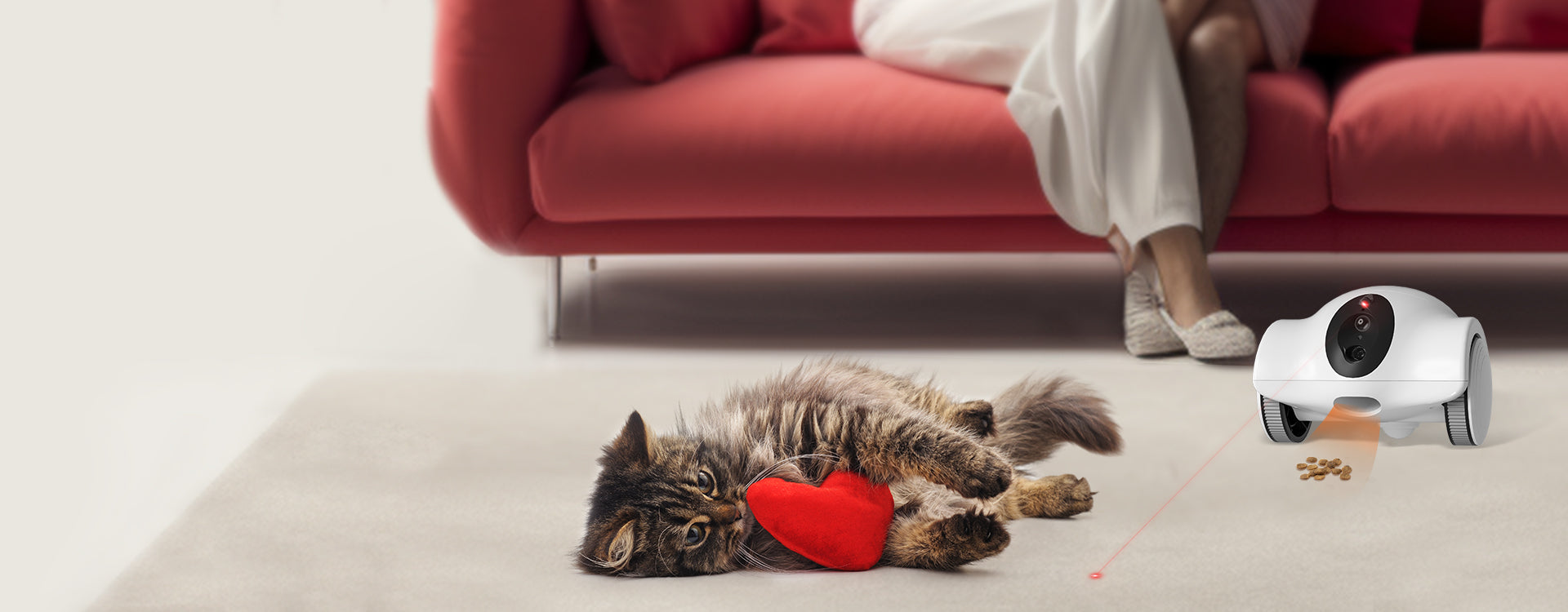 Comprehensive Strategies for Mitigating Pet Separation Anxiety through Interactive Toys and Cognitive Enrichment