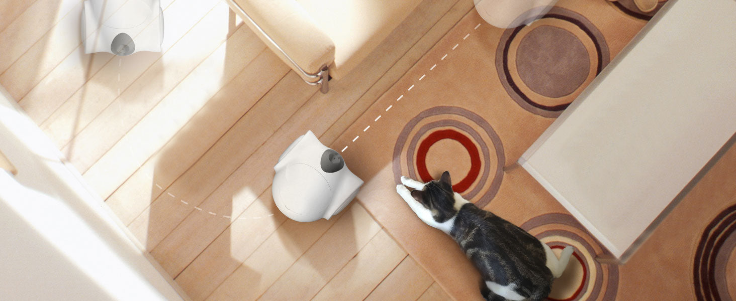 Elevating Pet Care: A Comprehensive Guide to Professional Pet Remote Monitoring and Security