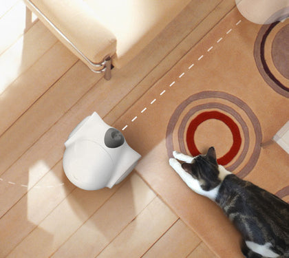 Elevating Pet Care: A Comprehensive Guide to Professional Pet Remote Monitoring and Security