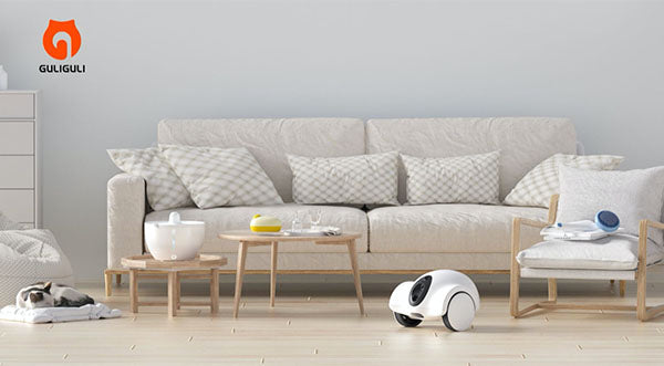 GULIGULI Gadgets to Keep Your Pet Happy in 2023