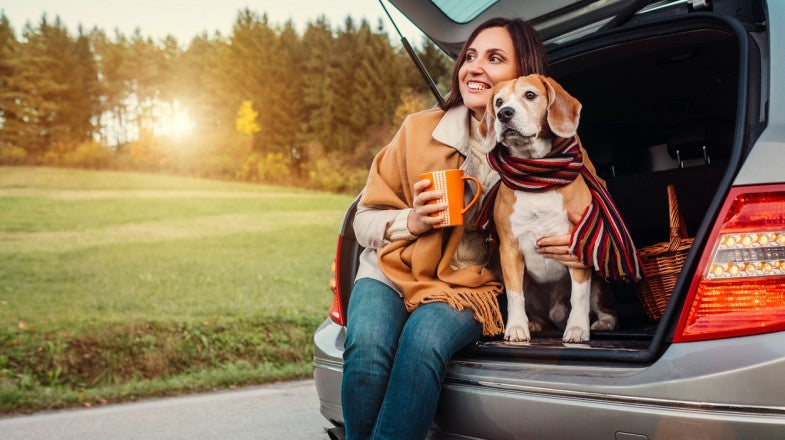 Comprehensive Guide: Navigating Pet-Friendly Travel with Finesse