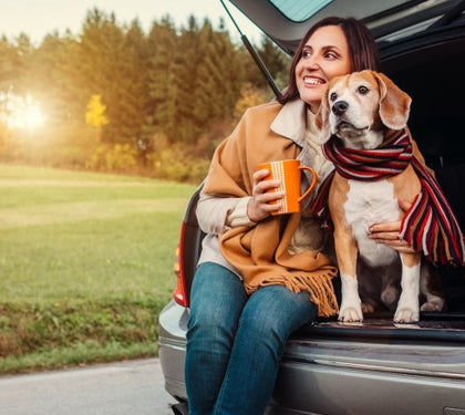 Comprehensive Guide: Navigating Pet-Friendly Travel with Finesse