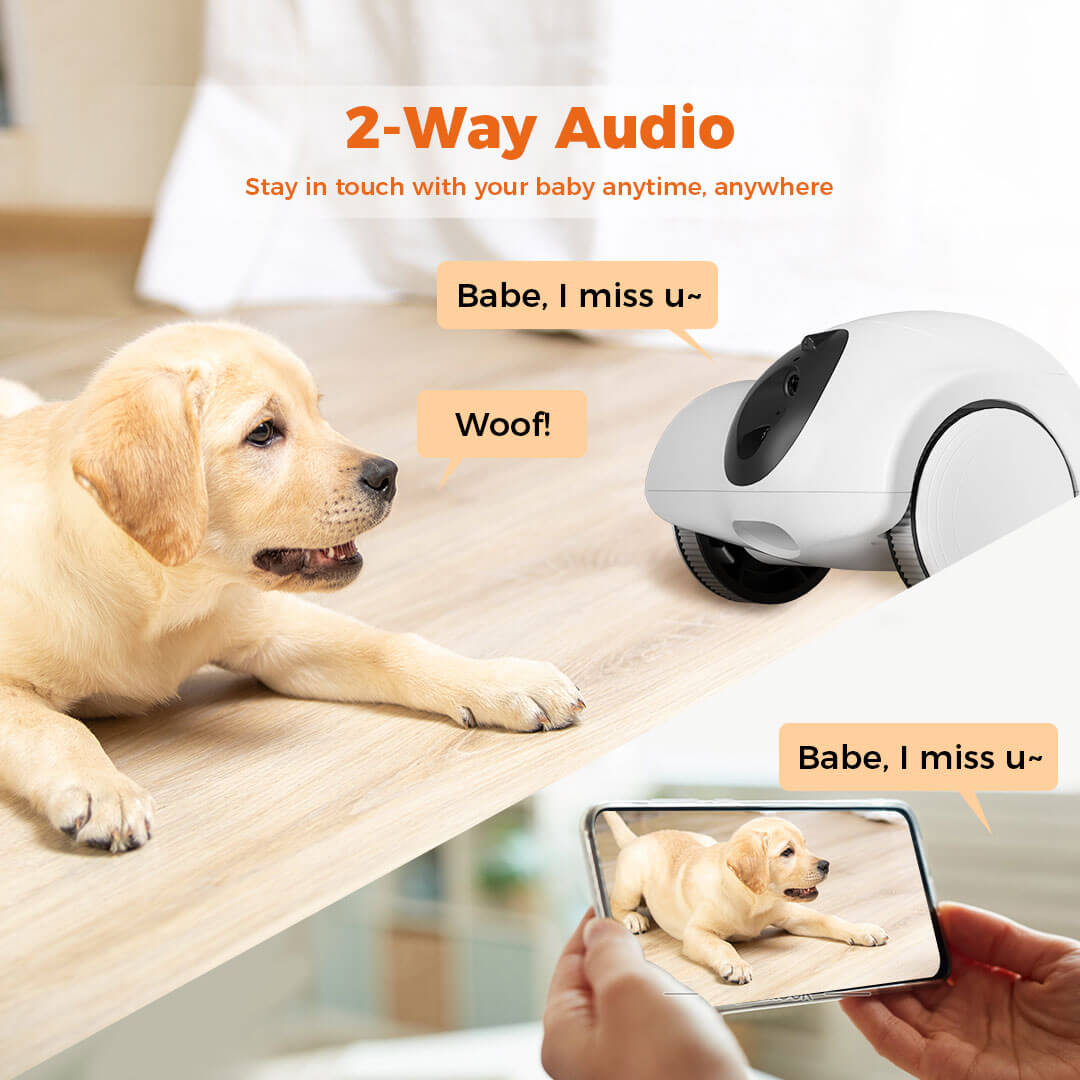 GULIGULI Hiboo Dog Camera Pet Companion Robot