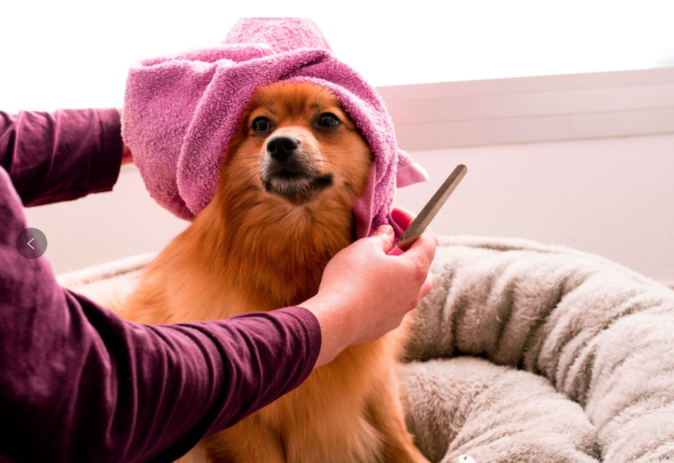 The Ultimate Guide to Dog Grooming: Tips for a Healthy and Happy Pup