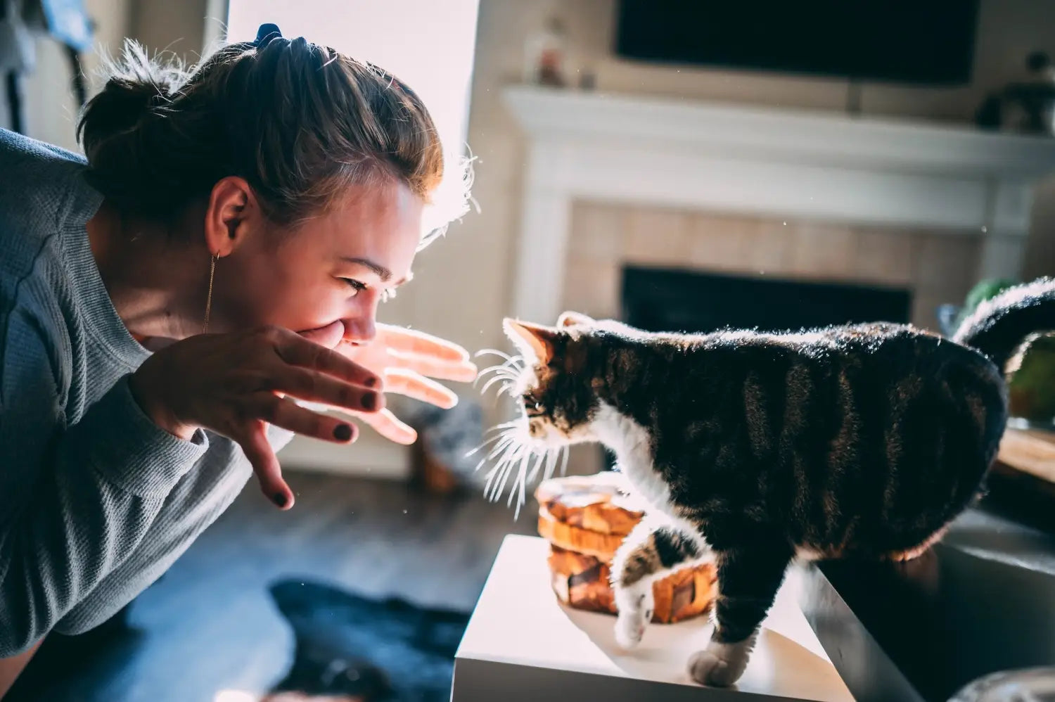 5 Surprising Benefits of Owning a Cat