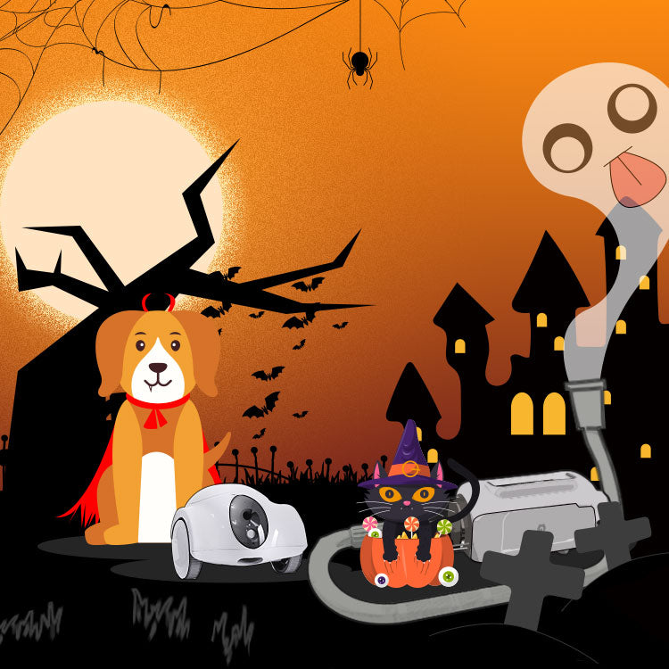 5 Halloween Gift Ideas for Your Lovely Pets