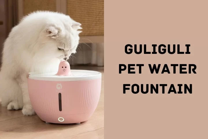 Smart cat best sale water fountain