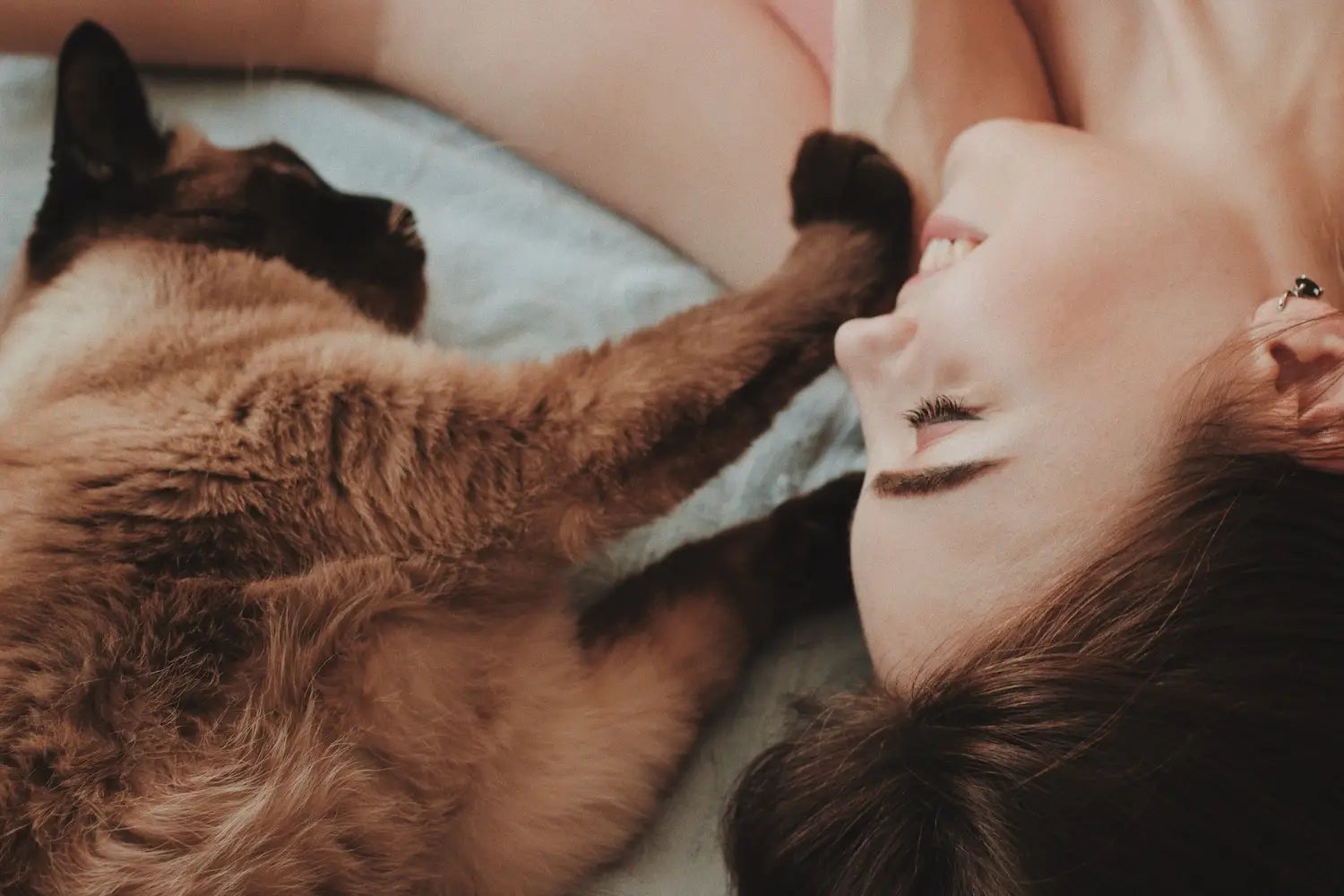 Why Do Cats Knead? Understanding Your Cat’s Quirky Behaviors
