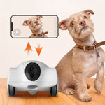 GULIGULI Hiboo Dog Camera Pet Companion Robot