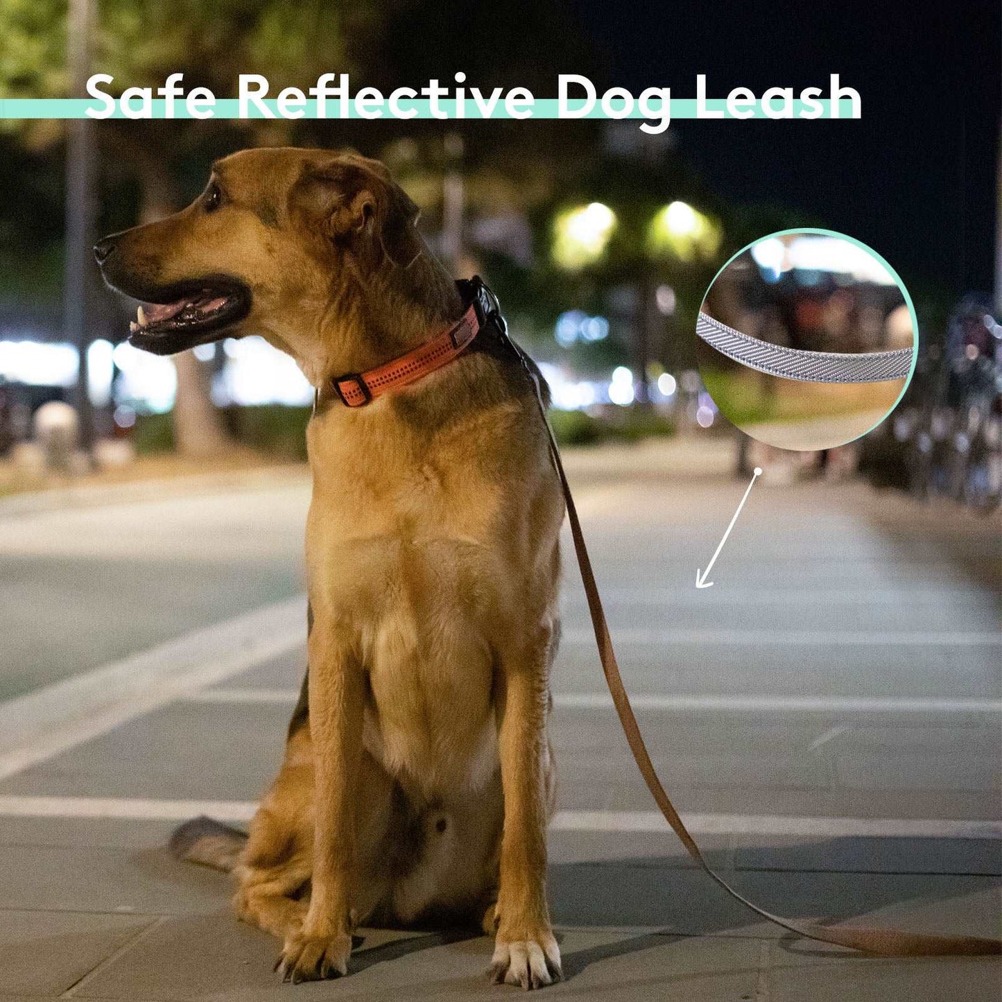 GULIGULI Dog Leash Retractable-16 ft