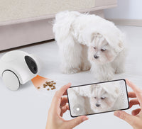 GULIGULI Official | Smart Pet Companion Brings Joy To Pets